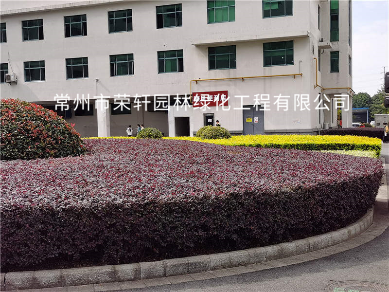 順風光電養(yǎng)護