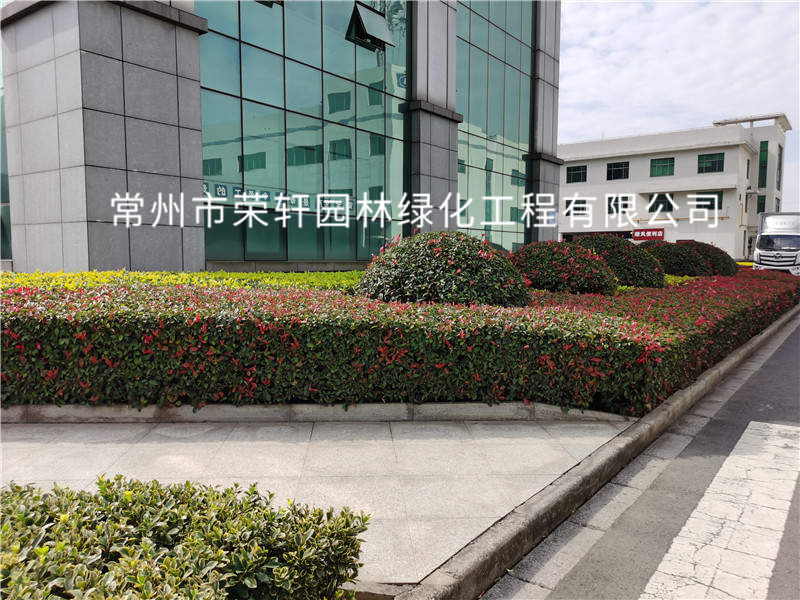 順風光電養(yǎng)護